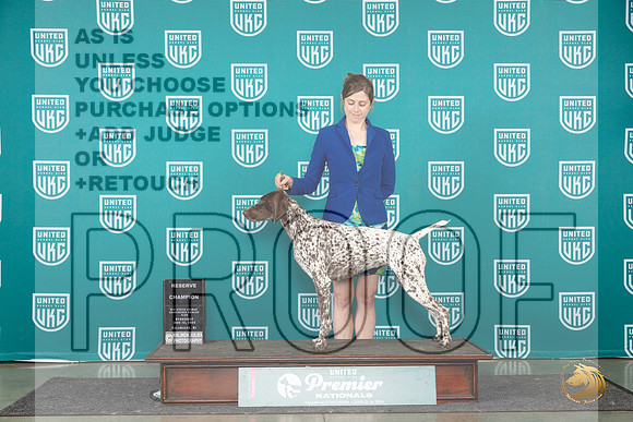 German Shorthaired Poinnter #215 Wed RCH Judge Jeane Hager__JP_2502_Premier_2024_HR3