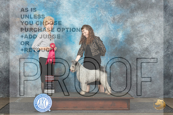 Pumi #5 Mon G2 Judge June Penta__JP_4607_Lubbock_2024_HR3