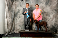 Labrador Retriever #480 Sat BOB Judge M Heflin