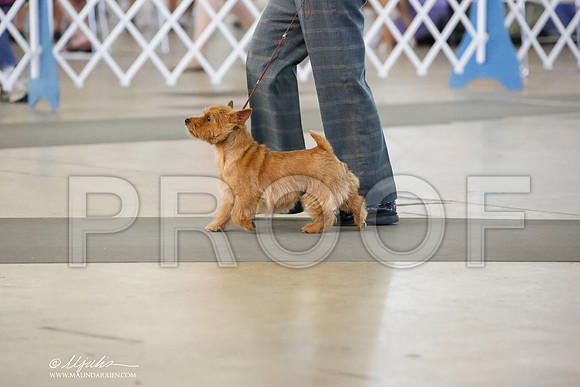 _JN_6446-DalJul2014-HR3