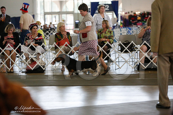 _JJ_2697-DallasJul2014-HR3