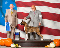 Boxers #25 Sun G1 Robbins Cheryl Keith Agent Michael Shepherd Judge Mr Ralph J Ambrosio