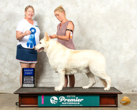 White Shepherd #1167 G1 Judge Pamela Perdue