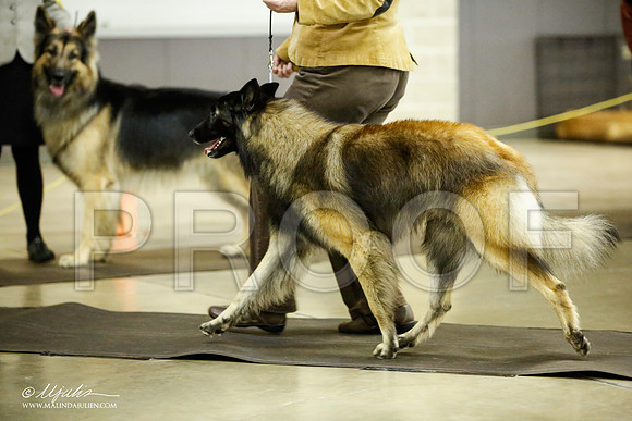 _JJ_7058-BeltonJan2015IABCA-HR3