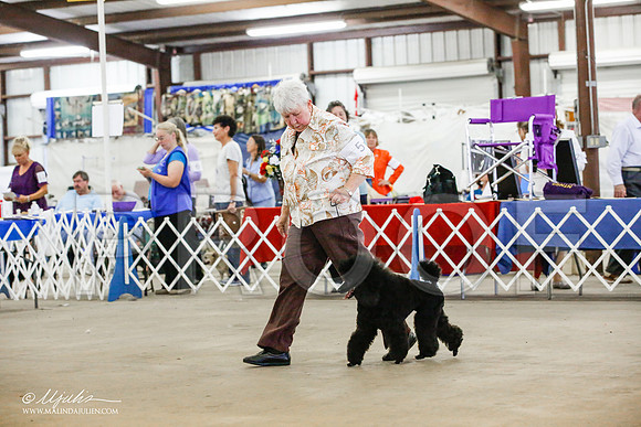 _JJ_4791-AlamogordoOct2014-HR3