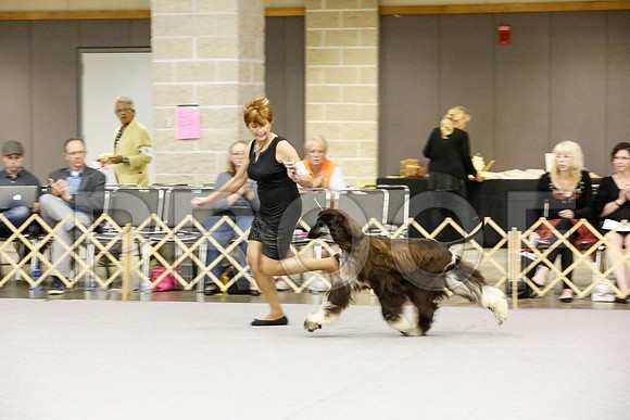 _JJ_9686-AfgBeltonOct2014-HR3