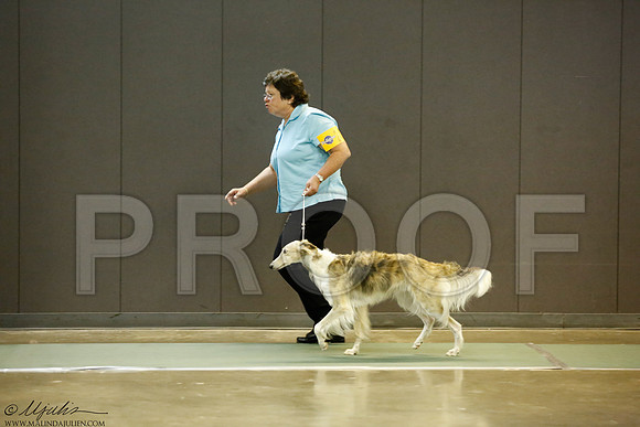_J3L1855-BeltSep2014-HR