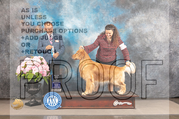 Golden Retriever #55 FRI WD BOW Major Judge Timothy Catterson_MJ_5396_Houston_2022_HR3