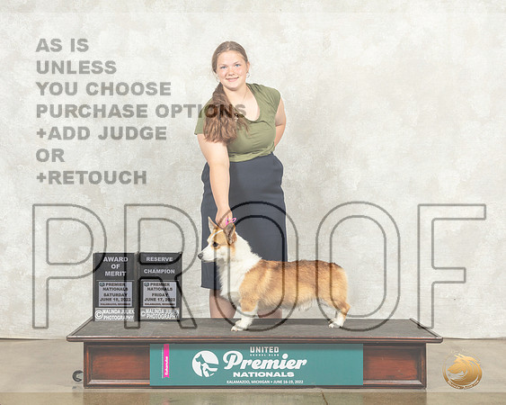 Pembroke Welsh Corgi #697 644 Sat AOM__MJ_9471_Premier_2022_HR3
