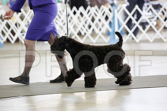 _JN_4970-DallasJul2014-HR3