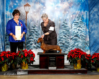 Dachshund Wire #18 Fri G3 Judy Walker Judge Wendy Paquette