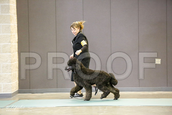 _LH_3119-BeltonJan2015-HR3