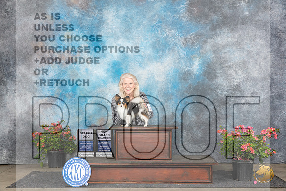 Papillion #21 Sat SDGCH Judge Azalea Alvarez__JP_5007_San Antonio_2024_HR3