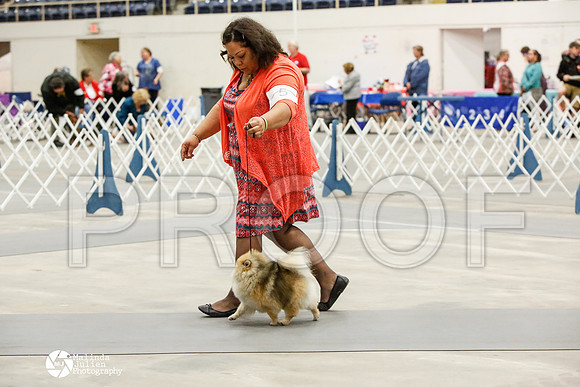 _CK_8926-AblnMay2014-web