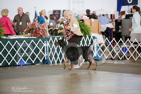 _JJ_8242-DallasJul2014-HR3