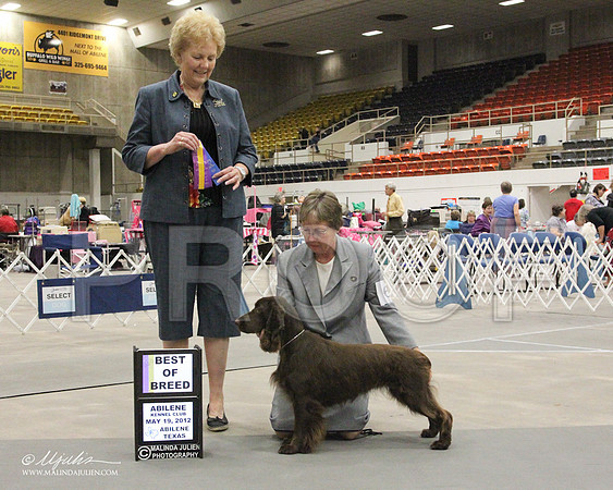 wpSat-4259LR
