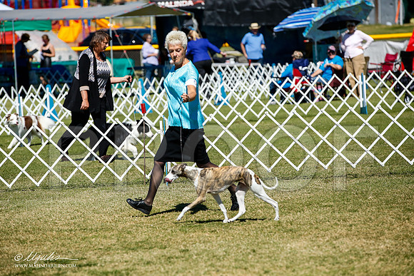 _JJ_0677-AlamogordoOct2014-HR3