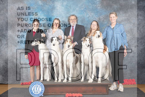 Borzoi Family Photo Sat__JP_0025_Sulphur Springs_2024_HR3