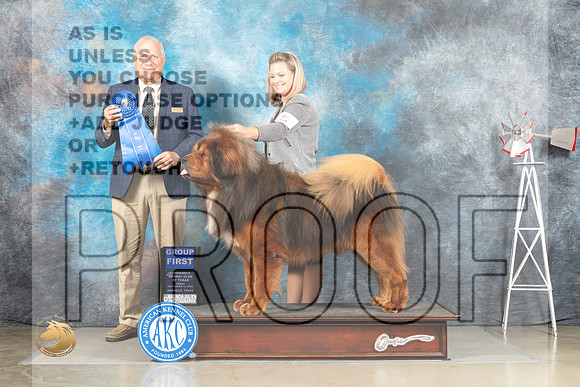 Tibetan Mastiff #5 Fri G1 Judge Eric Liebes_MJ_4043_Amarillo_2022_HR3