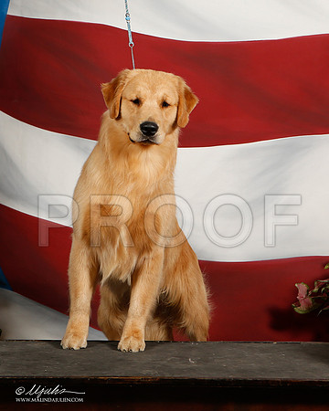 _ST_6575-DallasJul2014-HR3