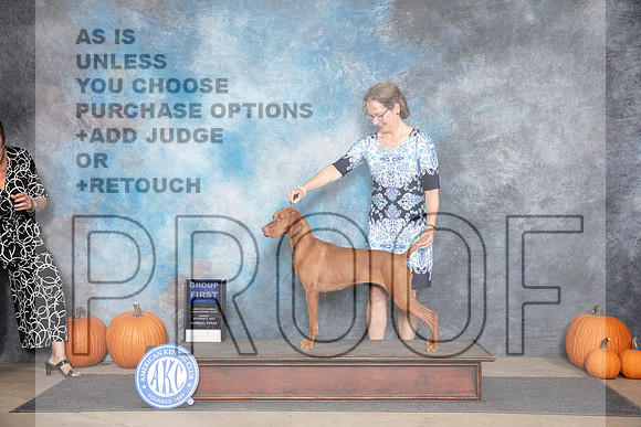 Vizsla #8 Sun G1 Judge Jan Paulk__JP_9509_Humble_2024_HR3