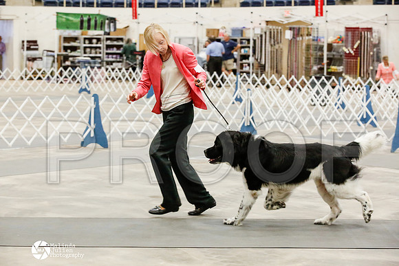 _HR_2132-AblnMay2014-web