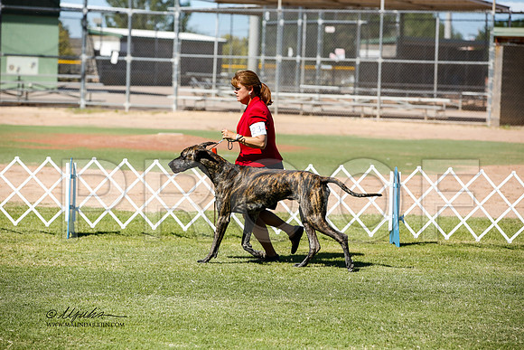 _JN_0820-AlamogordoOct2014-HR3