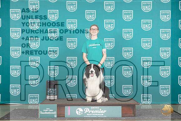 Border Collie #270 Thur Top10Jr 3rd Judge Susan Knowles__JP_1212_Premier_2024_HR3