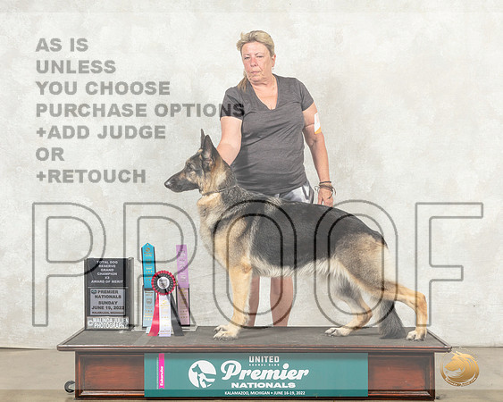German Shepherd Dog #355 Sun AOM__MJ_8954_Premier_2022_HR3