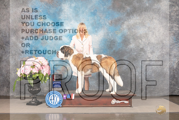 St Bernard #5 Sun WDBOS Judge Luis Sosa NO JUDGE-_MJ_7718e_Hstn2022-HR3