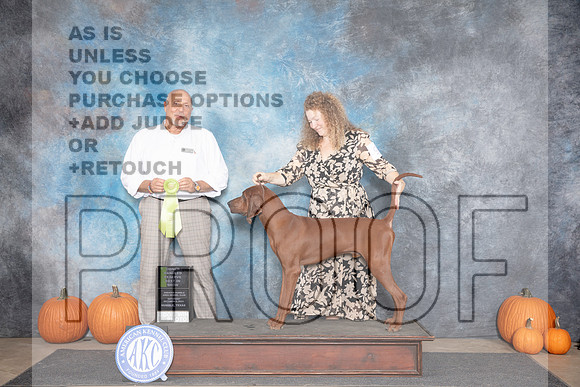 Redbone Coonhound #9 Sat OHRBIS Judge Hal Biermann__JP_9040_Humble_2024_HR3
