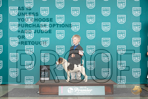 Parson Russel Terrier #2000 Sat PJr1 Judge Stan Matsumoto__JP_1962_Premier_2024_HR3