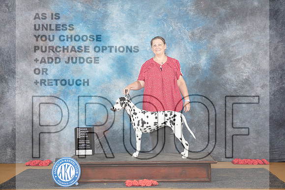 Dalmatio #6 Sun OHG4 Judge Beth Downey__JP_0938_Sulphur Springs_2024_HR3
