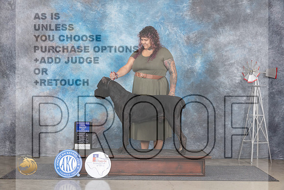 Cane Corso #11 Thur BOW Judge Denise Dean__JP_4820_Amarillo_2024_HR3
