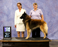 Belgian Tervuren WD Ver2 Fri HKC Houston July 2012