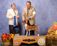 Basenji #5 Sat G1
