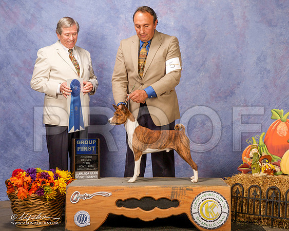 _CL_4505 - Version 2-SanAngelo2014-HR3