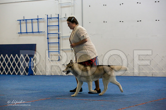 _M3_0405-AddisonHuskyMar2015-HR3