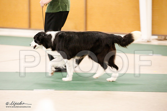 _JN_9539-NrmnNov2014-HR3