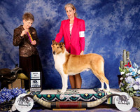 Collie Smooth #21 Sat Best of Variety Tehon Rebecca and Candace and BA Ardizzone and K Reppert Judge B Lachnitt