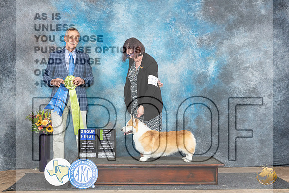 Pembroke Welsh Corgi #15 Sat OHRBIS Judge Rick Gschwender__JP_0133_Abilene_2024_HR3