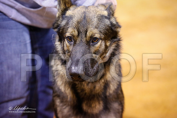 GSD-7260-MrshllDec13-HR