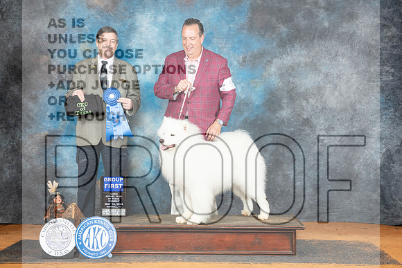 Samoyed #5 Sun G1 Judge Jim Fehring__JP_8780_MARSHALL_2024_HR3
