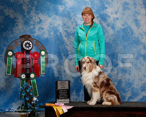 _ST_6333-2-ASCAnov2014-HR3