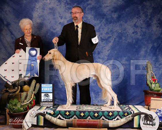 Saluki-5326-GRJan14-HR