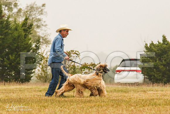 _MJ_3229-AfgBeltonOct2014-HR3