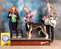 Saluki #10 Fri BOW Judge Katrina Hamilton