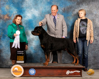 Rottweiler #9 Thurs G4 Judge Donnelle Richards