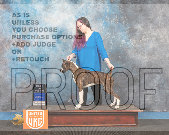 Boxer #107 Sat1 BOW Judge Pam Moore_MMJ_6241_Addison2022_HR3