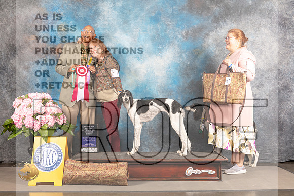 Saluki #18 THUR WB BOS Major Judge Robert Place_MJ_4177_Houston_2022_HR3
